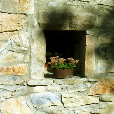 La Saisonneraie Luzançon